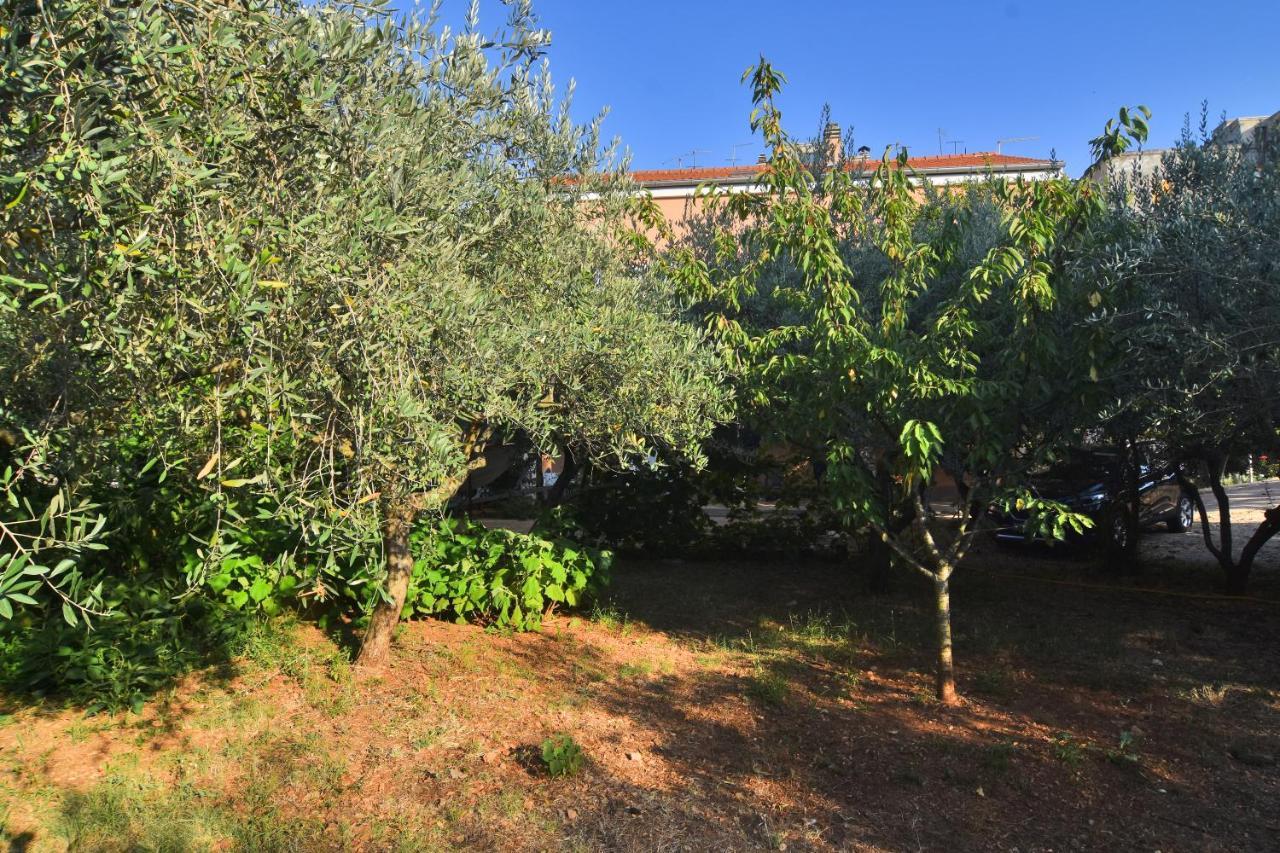 Apartments Edita Zadar Dış mekan fotoğraf